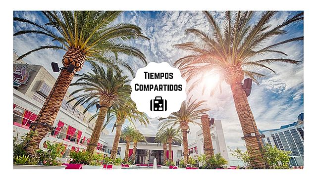 "se abren las oficinas"