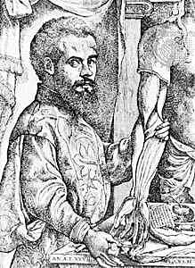Andreas Vesalius (1514-1564)