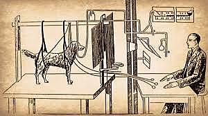 Pávlov condicionamiento clásico