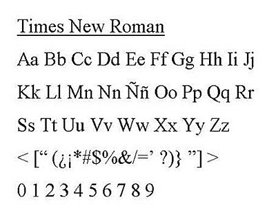 TIMES NEW ROMAN