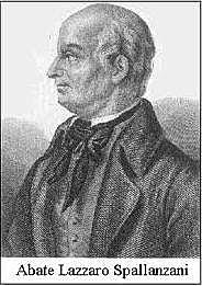 Descubrimiento de los ultrasonidos