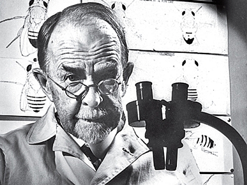 THOMAS HUNT MORGAN (1866-1945)