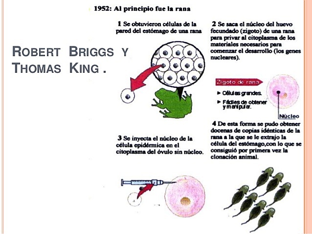 ROBERT BRIGGS (1911-1983) y THOMAS KING (1921-2000)