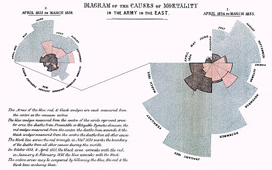Florence Nightingale's Coxcomb