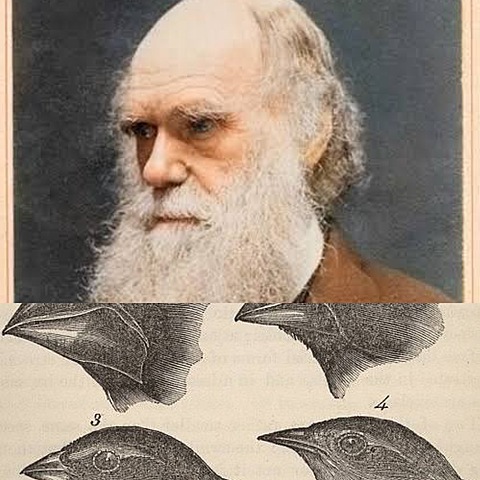 Charles Robert Darwin