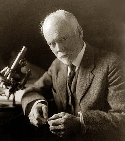 Edmund Beecher Wilson