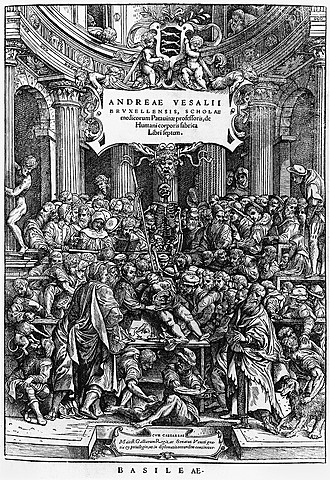 Dissection (Beliefs and Result)