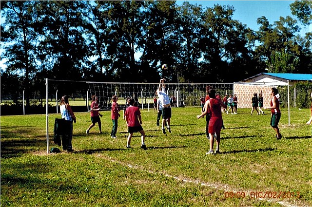 Fiesta de los colores