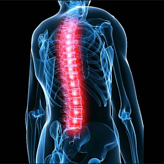 Quiropráctica y Osteopatica