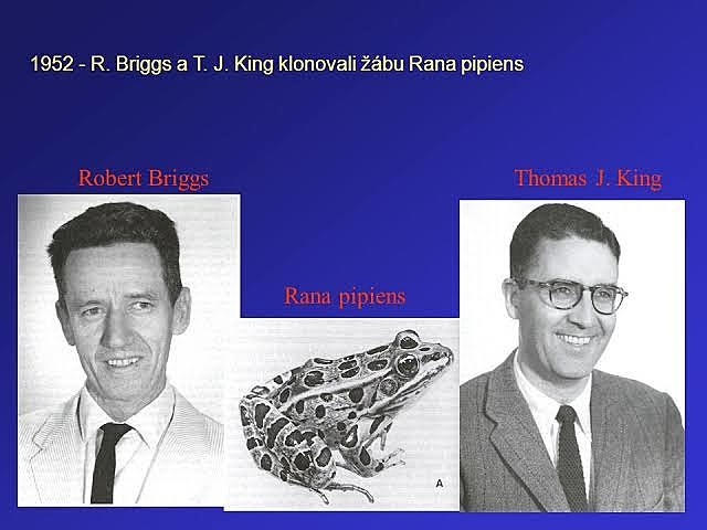Robert Briggs y Thomas King