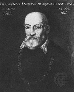 HIERONYMUS FABRICIUS