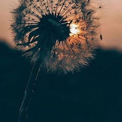 Timeline: Mi línea de tiempo.