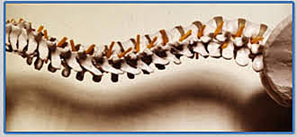 MANIPULACIÓN OSTEOPÁTICA