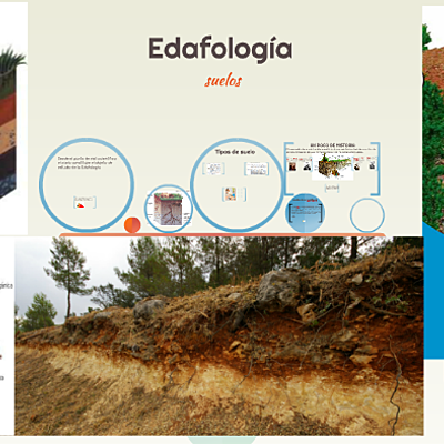 Timeline: Historia de la edafología