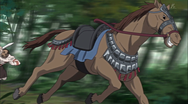 Timeline: Origen y evolución del caballo.