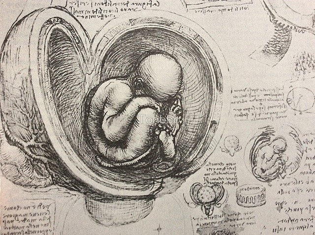 Leonardo da Vinci (1452-1519)