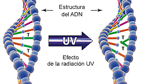 Partícula Ionizante