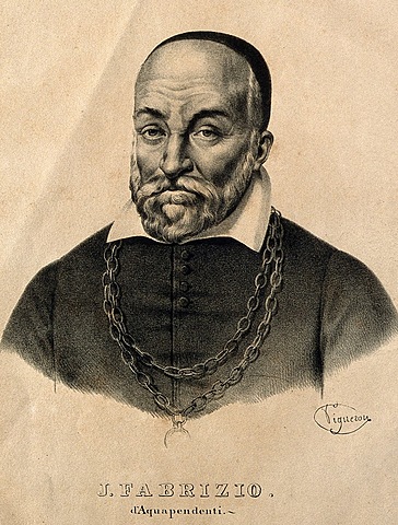 HIERONYMUS FABRICIUS DE ACUAPENDENTE