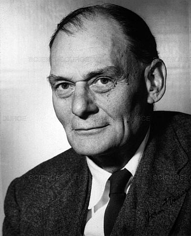 jhon franklin enders