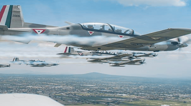 OBJETIVOS ESPECÍFICOS