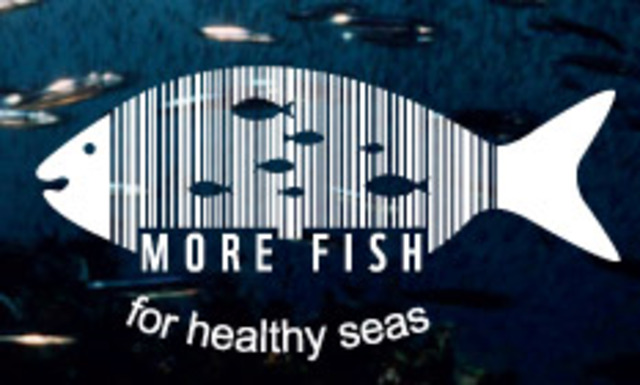 Launch of our More Fish campaign in the UK