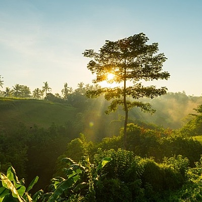 Timeline: DESARROLLO SUSTENTABLE