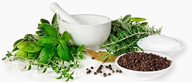 5.	Medicina Natural (Naturopatía).