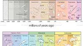 Timeline: Geokronoloogiline skaala Riin BK