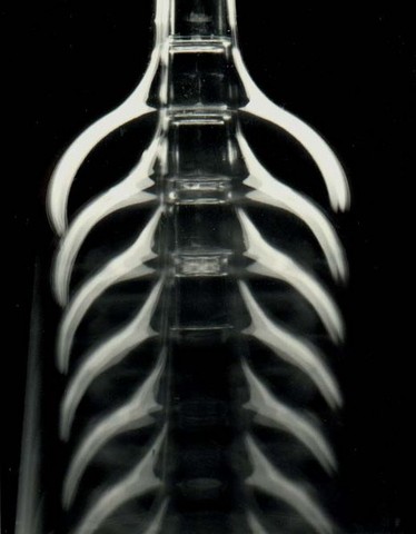 Liz grows a backbone