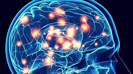 Timeline: La Neuropsicología en el tiempo