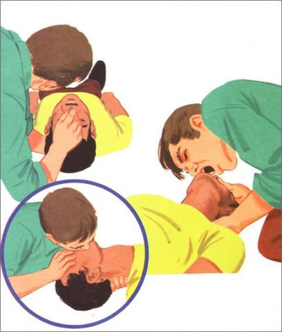 Dr. Elan & Dr. Safar