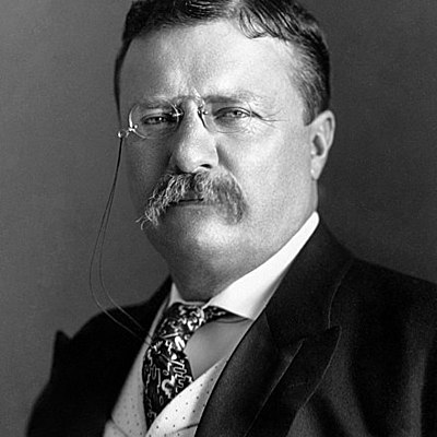 Timeline: Teddy Roosevelt Timeline Project