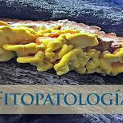 Timeline: La Historia De La Fitopatología.