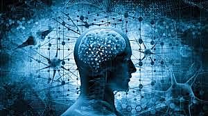 PROGRAMA DE BIOETICA