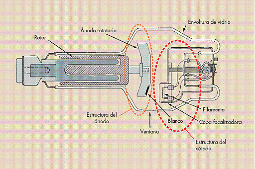 CREACION DEL TUBO RAYO X