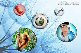 LA PREHISTORIA DE LA BIOÈTICA