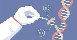 LA NORMALIZACION DE LA BIOÈTICA EN COLOMBIA
