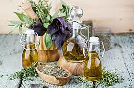 MEDICINA TRADICIONAL