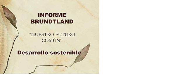 Informe Brundtland
