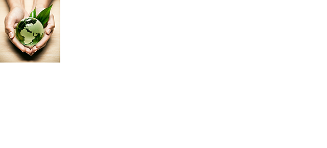 La Declaración de Tbilisi Georgia