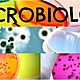 Microbiolo