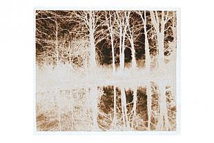 Procedimiento por difusión de tintes