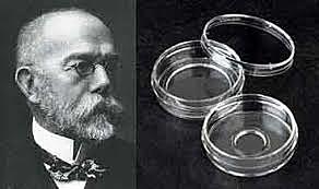 JULIUS RICHARD PETRI