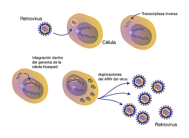 RETROVIRUS