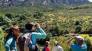 Turismo de naturaleza