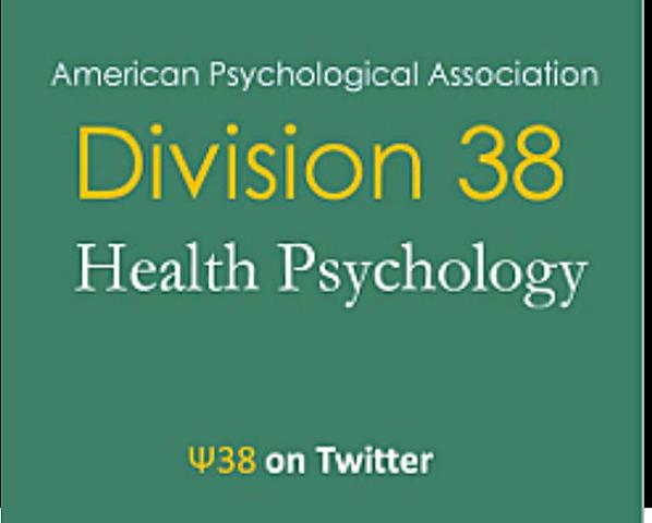 Se constituye la División 38