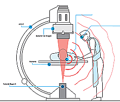 Nuevas medidas de seguridad