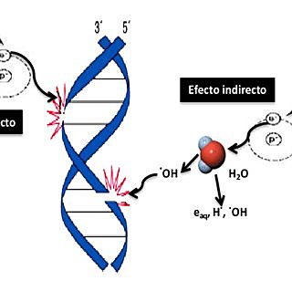 1900 Evento 4 Radioactividad Natural y Artificial
