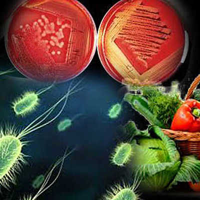 Timeline: Historia- evolución de la microbiología de alimentos.