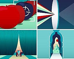 Bioplástico para una economía circular